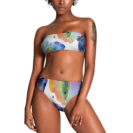 Ladies Two Piece Bikini Swimsuit